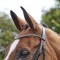 BR078 - Barton Bling Flash Bridle (inc Rubber Reins)